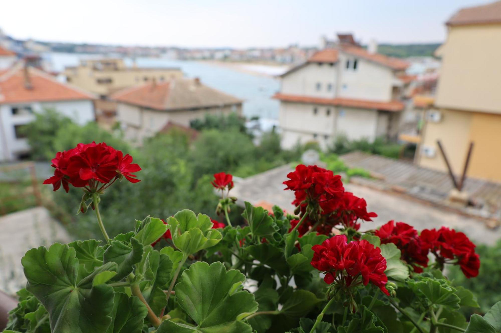Kalina Guest Rooms Sozopol Exteriör bild